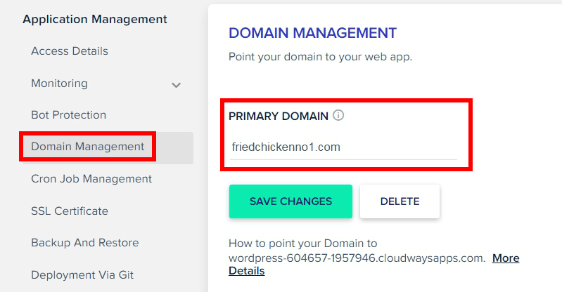 設定 Cloudways Domain Management
